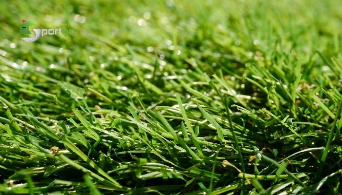 Thời hạn sử dụng cỏ nhân tạo sân bóng thanh lý là bao lâu?